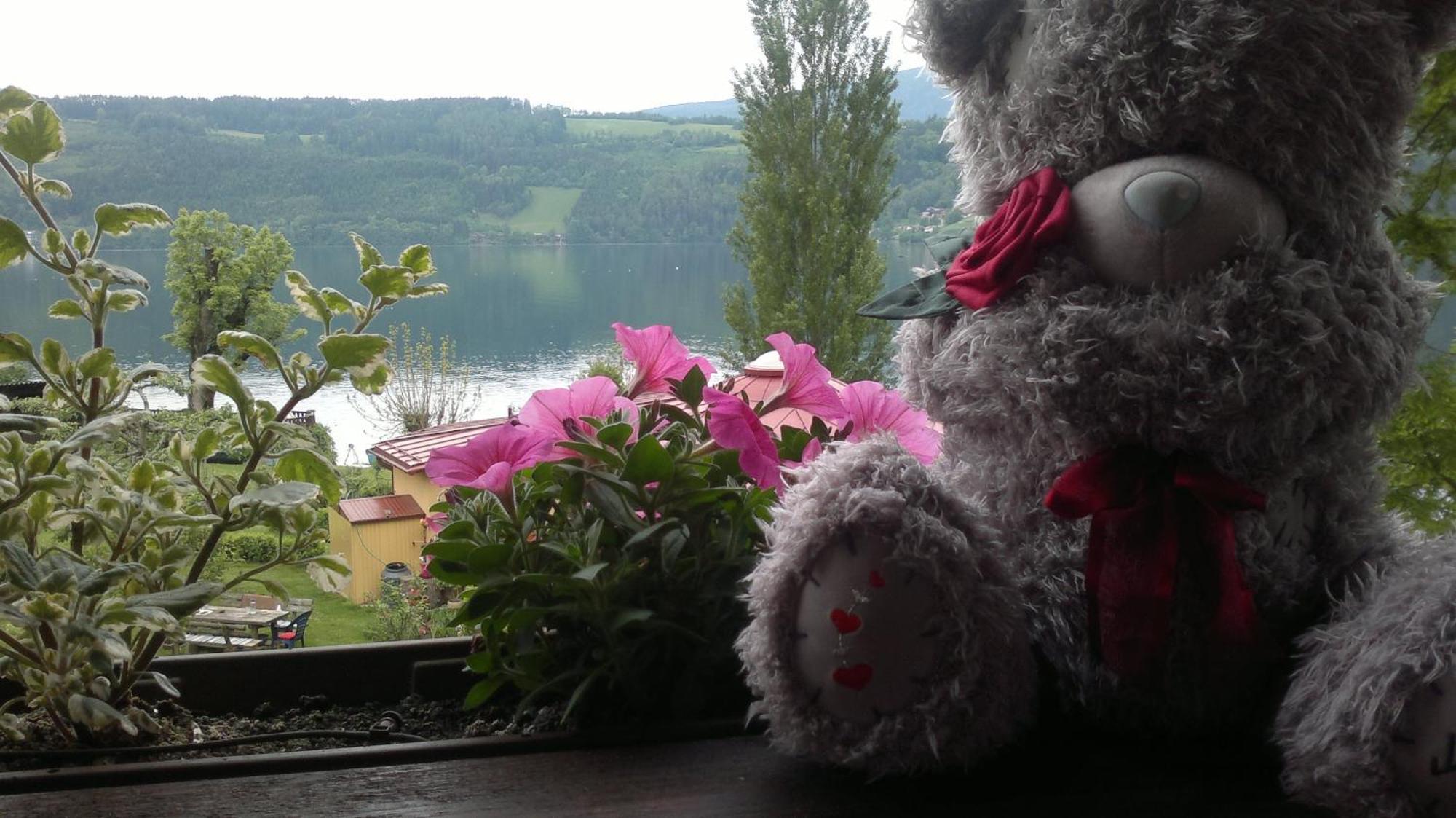 Ferienwohnungen Seerose direkt am See Millstatt am See Exterior foto